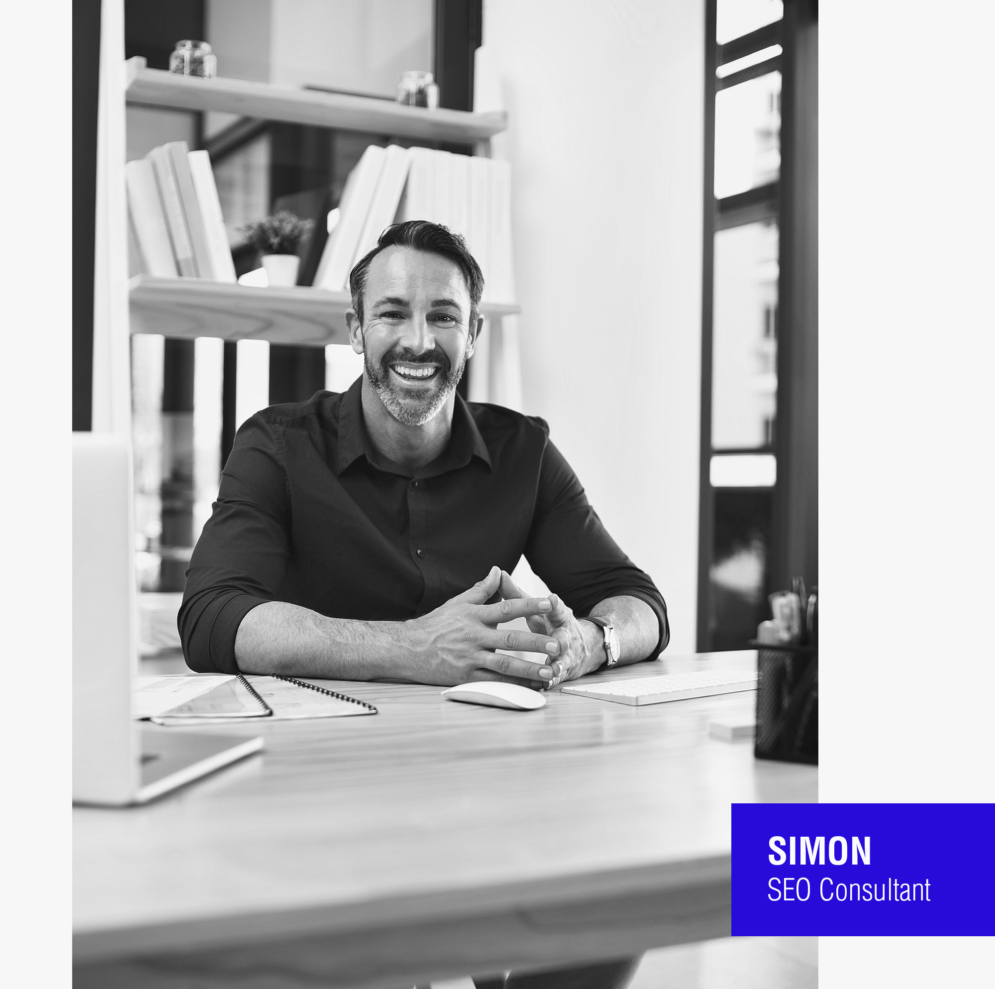 SEO Consultant